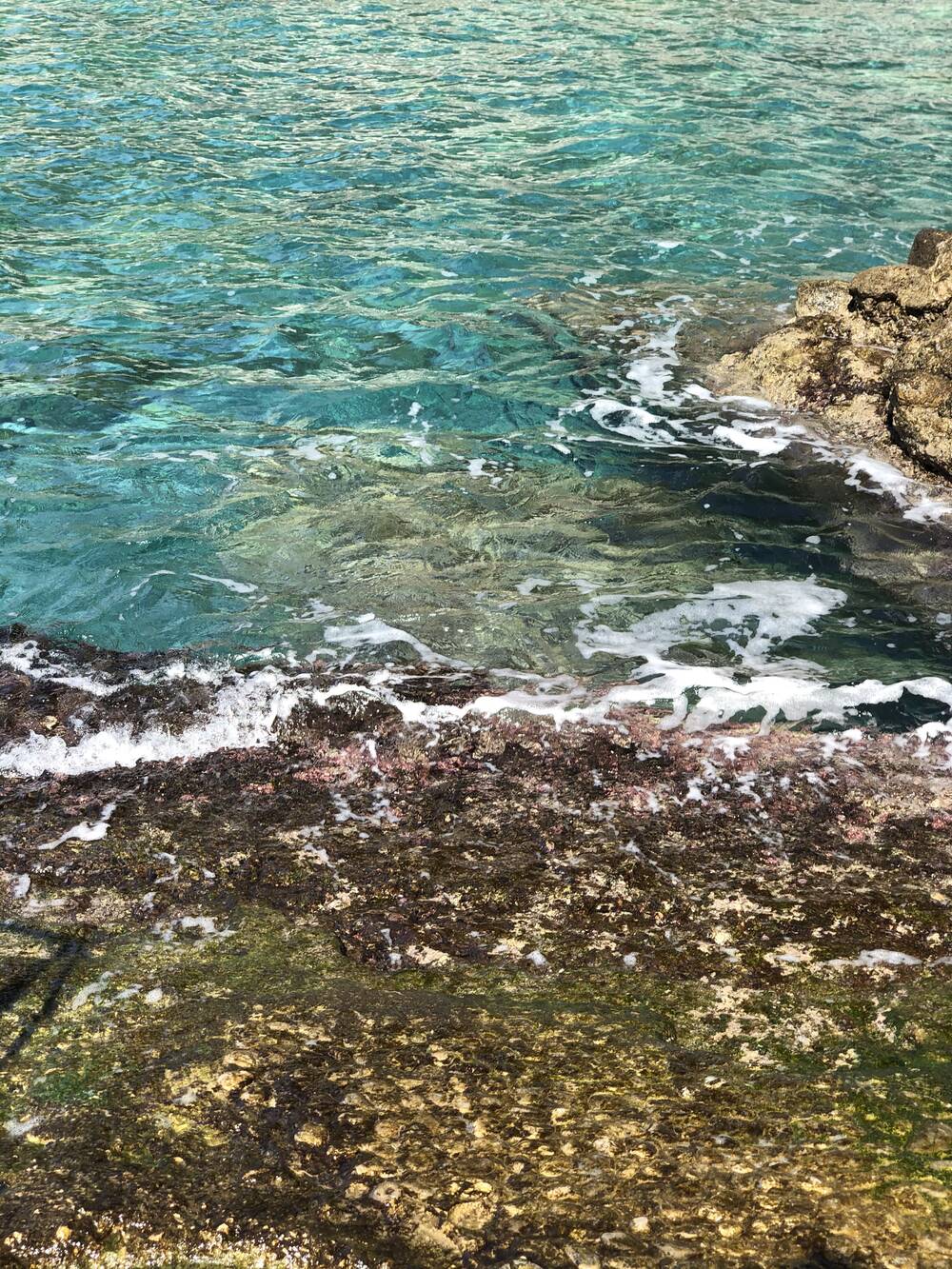 fiorabella