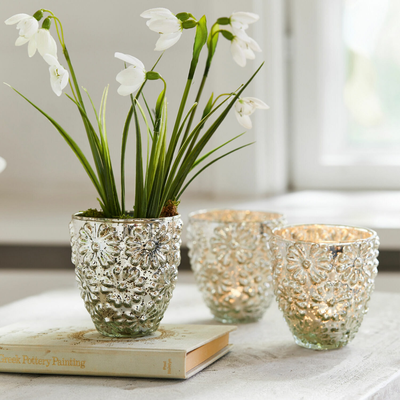 Windlicht 3er Set Alana Windlicht 3er Set Alana