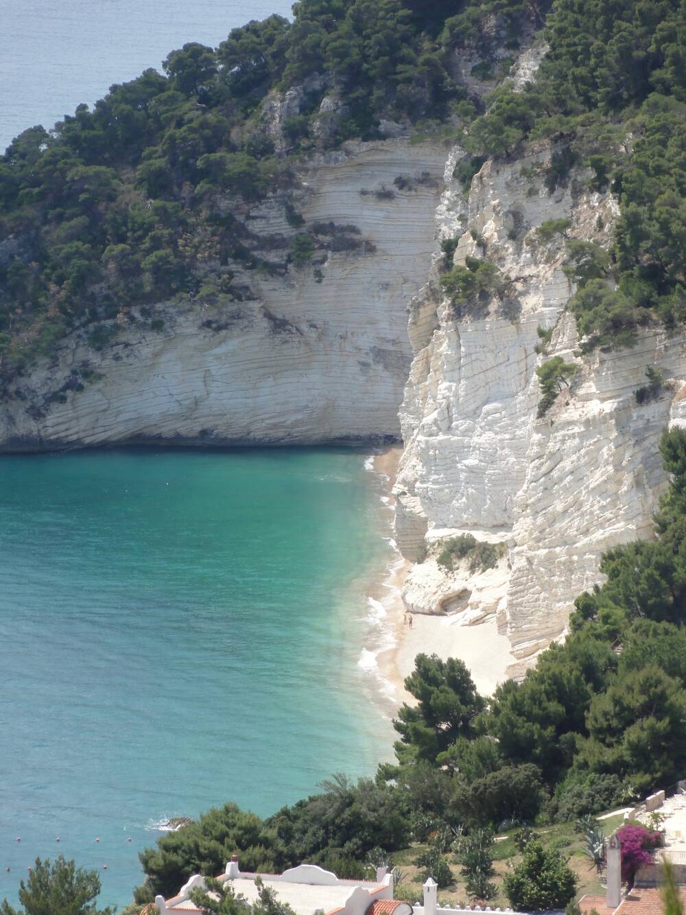 fiorabella
