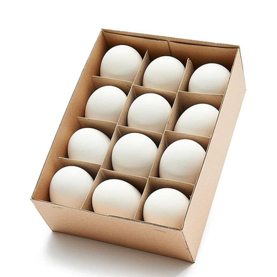 12 ausgeblasene Gänseeier