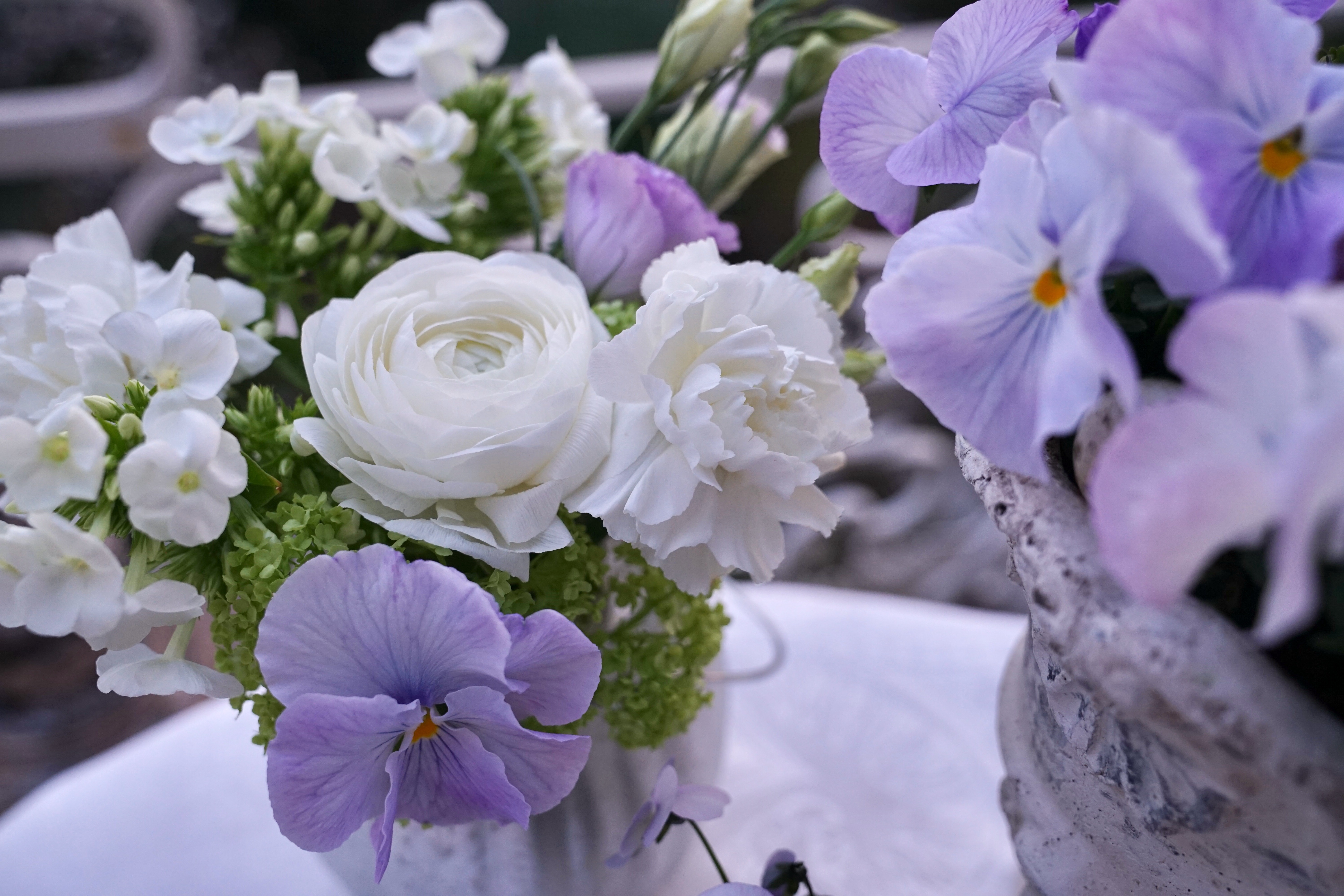 Blumen & Einrichtung